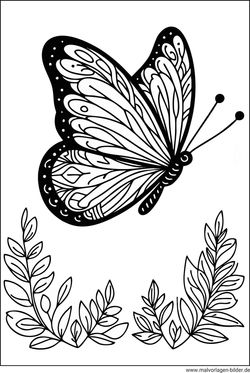 Ausmalbild Insekt Schmetterling
