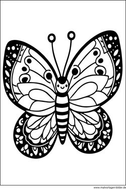 Schmetterling Malvorlage zum Ausdrucken kostenlos